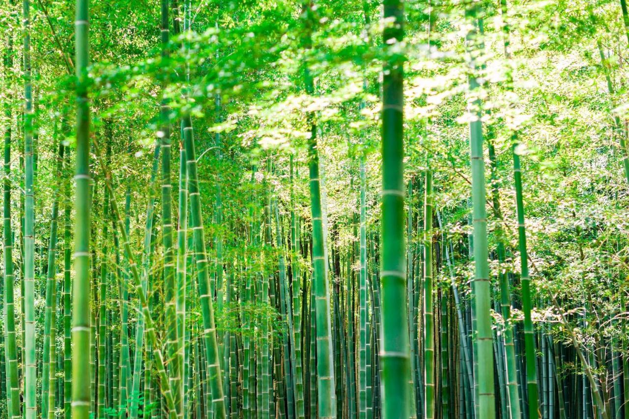 Suiran, A Luxury Collection Hotel, Kyoto Quioto Exterior foto